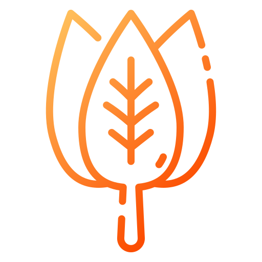 Spinach icon