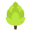 Artichoke アイコン 64x64