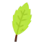 Basil アイコン 64x64