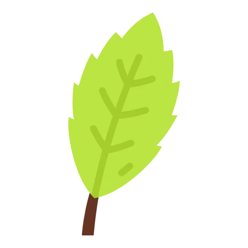 Basil icon