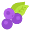 Blueberry icon 64x64