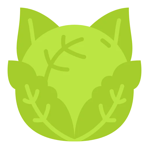 Cabbage icon