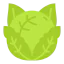 Cabbage Ikona 64x64
