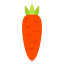 Carrot Ikona 64x64