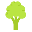 Cauliflower アイコン 64x64