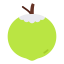 Coconut 상 64x64