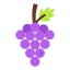 Grape 상 64x64