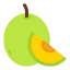 Дыня иконка 64x64