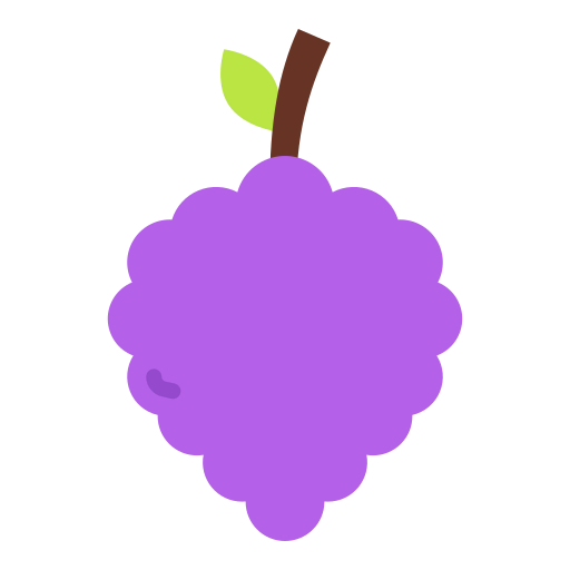 Raspberry icon