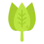 Spinach biểu tượng 64x64