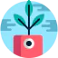 Plant icon 64x64