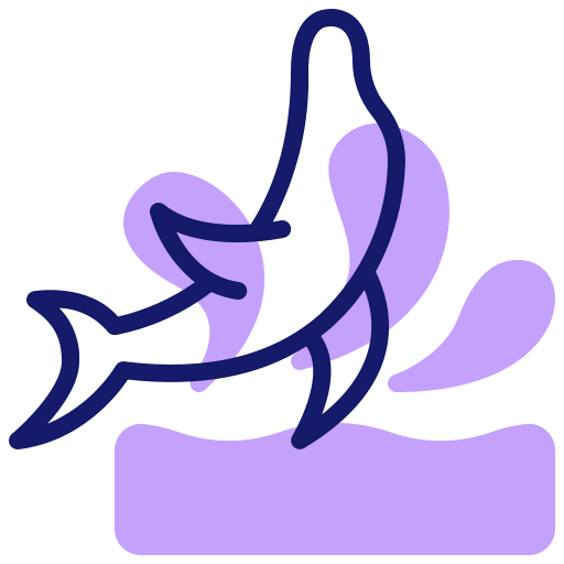 Dolphin icon