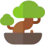 Bonsai icon 64x64