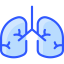 Lungs ícono 64x64