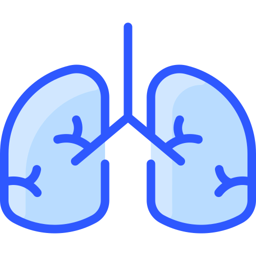 Lungs icon
