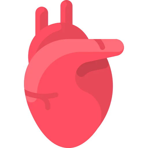 Heart icon