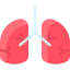 Lungs ícono 64x64