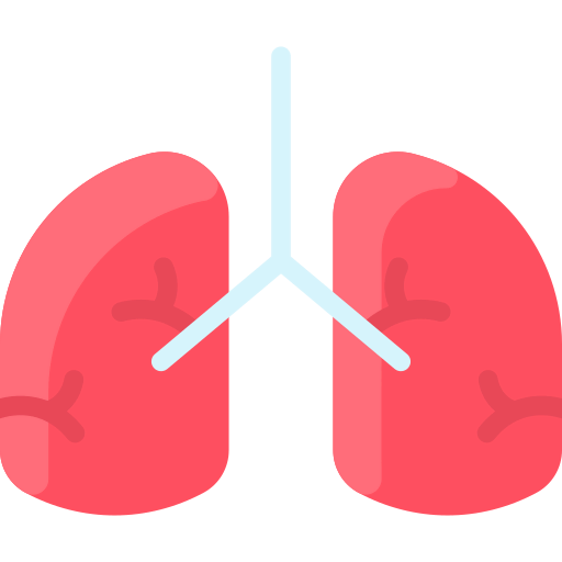 Lungs icon