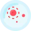 Petri dish icon 64x64