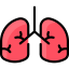 Lungs ícono 64x64
