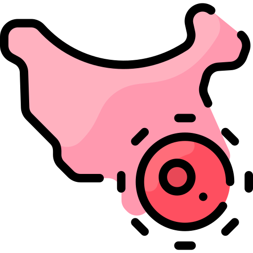 Map icon