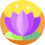 Lotus icon 64x64