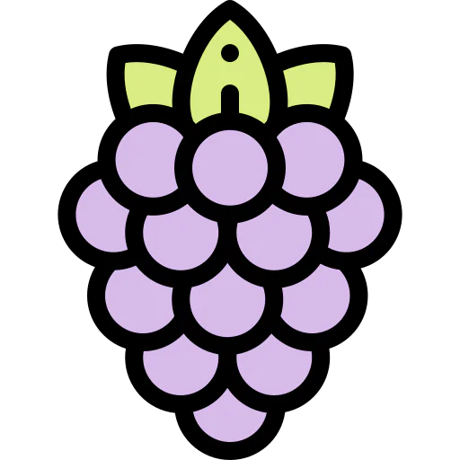 Berries icon