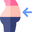 Diet Ikona 64x64
