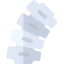Dorsal spine icon 64x64