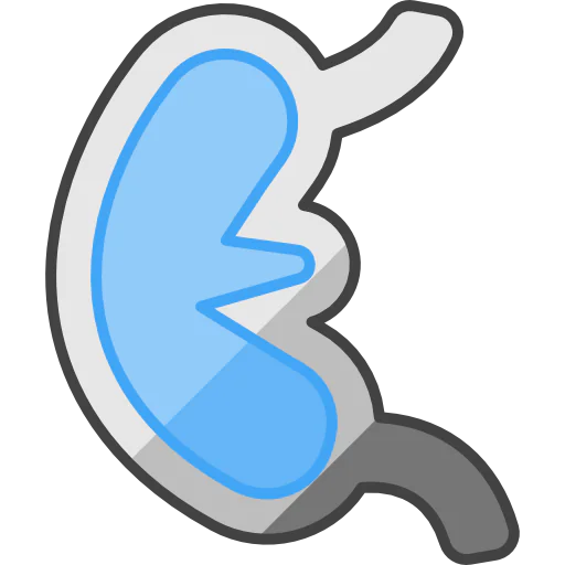 Kidney icon