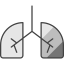 Lungs ícono 64x64