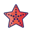 Starfish icon 64x64