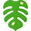 Leaf icon 64x64