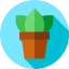 Plant biểu tượng 64x64