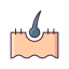 Dermis icon 64x64