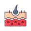 Epidermis icon 64x64