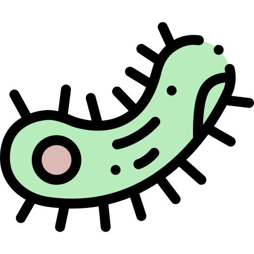 Bacteria icon