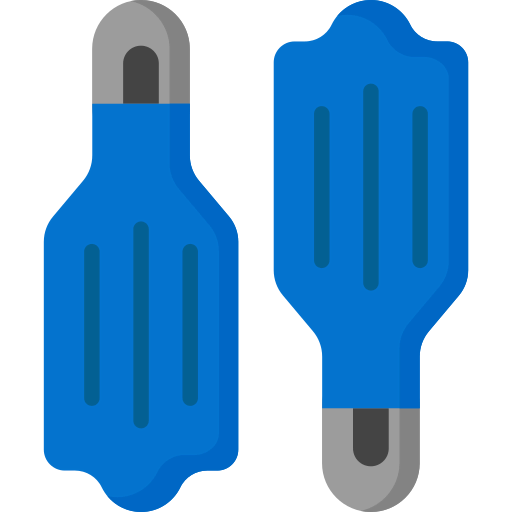 Flippers icon