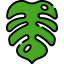 Leaf icon 64x64