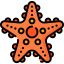 Starfish icon 64x64
