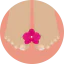 Pedicure icon 64x64