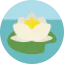 Lotus icon 64x64