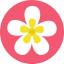 Flower icon 64x64