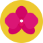 Flower icon 64x64