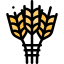 Barley icon 64x64