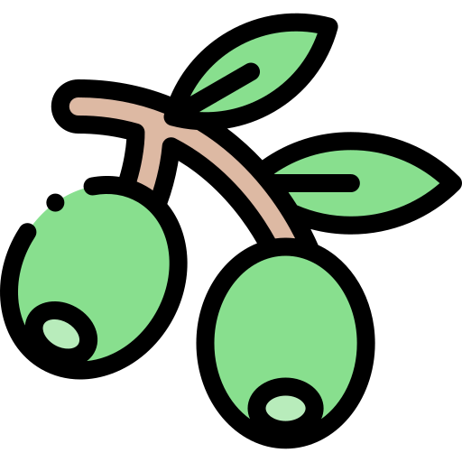 Olive icon