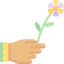 Flower icon 64x64
