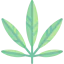 Cannabis icon 64x64
