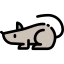 Rat icon 64x64