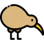 Kiwi icon 64x64